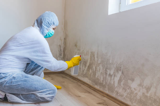 Licensed Mold Remediation service in Matawan, NJ - 24 Hour Mold Removal