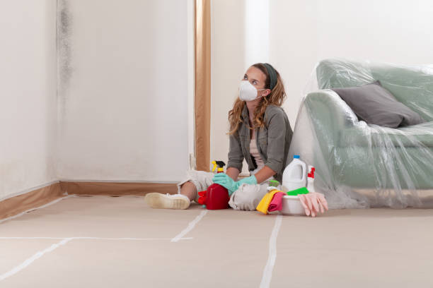 Reliable Mold Remediation contractor in Matawan, NJ by 24 Hour Mold Removal